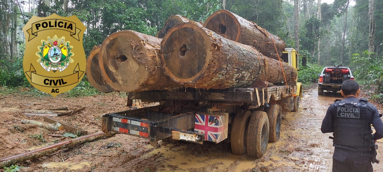 Polícia Civil realiza diligências em zona rural de Sena Madureira, apreende caminhão com madeira ilegal e resgata cães em situação de abandono